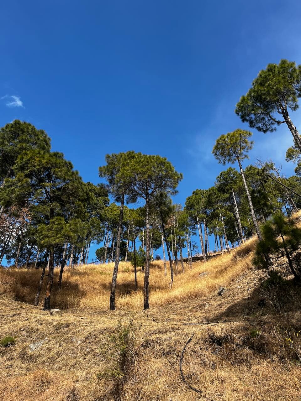 Billy Goat Resort - Incline View